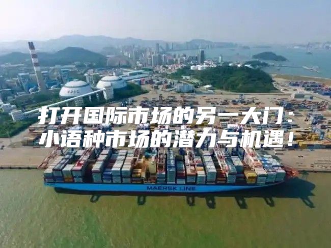 打开国际市场的另一大门：小语种市场的潜力与机遇！