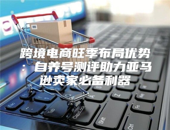 跨境电商旺季布局优势：自养号测评助力亚马逊卖家必备利器