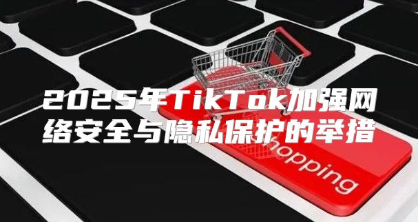 2025年TikTok加强网络安全与隐私保护的举措