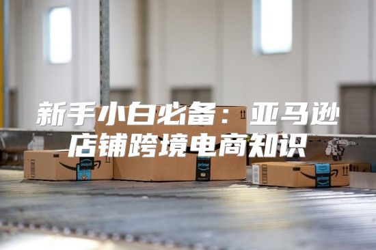 新手小白必备：亚马逊店铺跨境电商知识