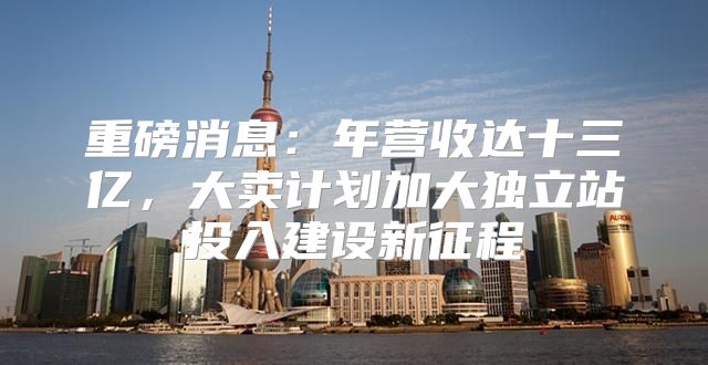 重磅消息：年营收达十三亿，大卖计划加大独立站投入建设新征程