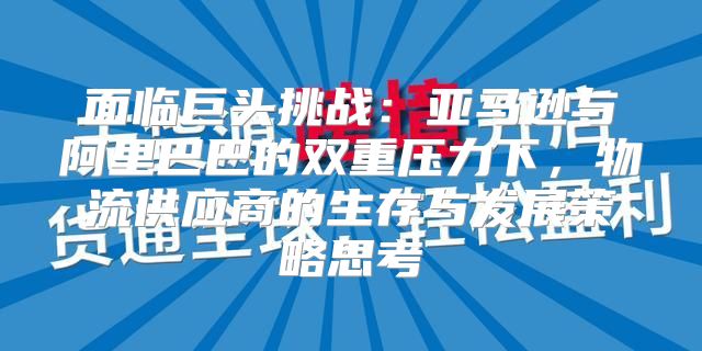 面临巨头挑战：亚马逊与阿里巴巴的双重压力下，物流供应商的生存与发展策略思考