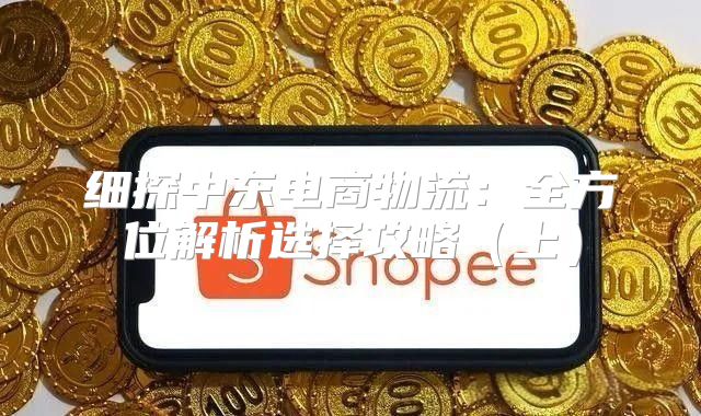细探中东电商物流：全方位解析选择攻略上