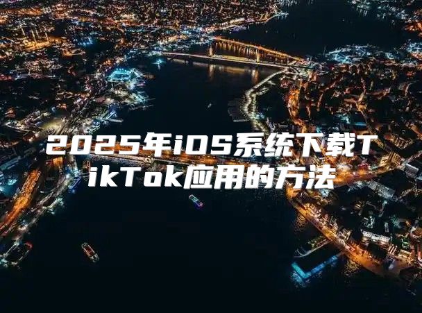 2025年iOS系统下载TikTok应用的方法
