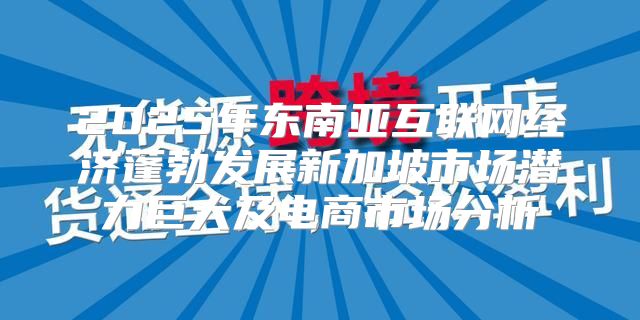 2025年东南亚互联网经济蓬勃发展新加坡市场潜力巨大及电商市场分析