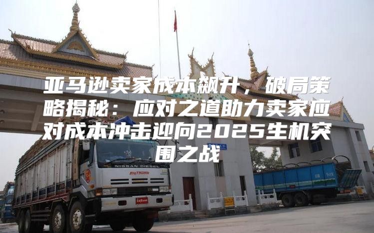 亚马逊卖家成本飙升，破局策略揭秘：应对之道助力卖家应对成本冲击迎向2025生机突围之战