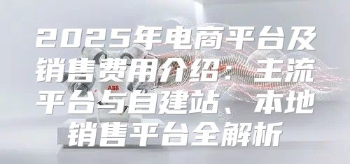 2025年电商平台及销售费用介绍：主流平台与自建站、本地销售平台全解析