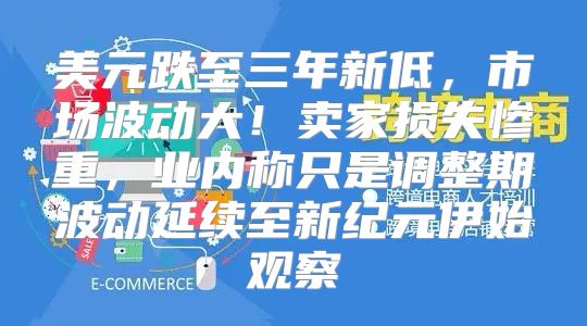 美元跌至三年新低，市场波动大！卖家损失惨重，业内称只是调整期波动延续至新纪元伊始观察