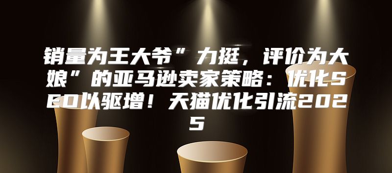 销量为王大爷”力挺，评价为大娘”的亚马逊卖家策略：优化SEO以驱增！天猫优化引流2025