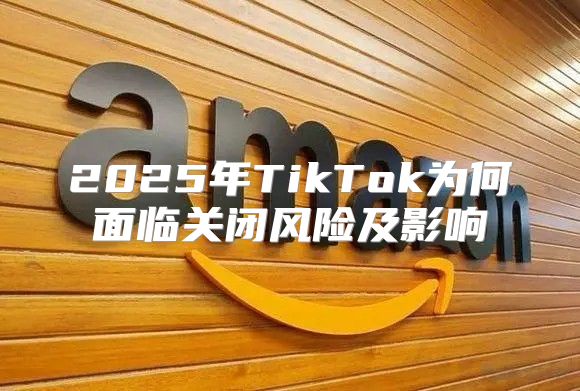 2025年TikTok为何面临关闭风险及影响