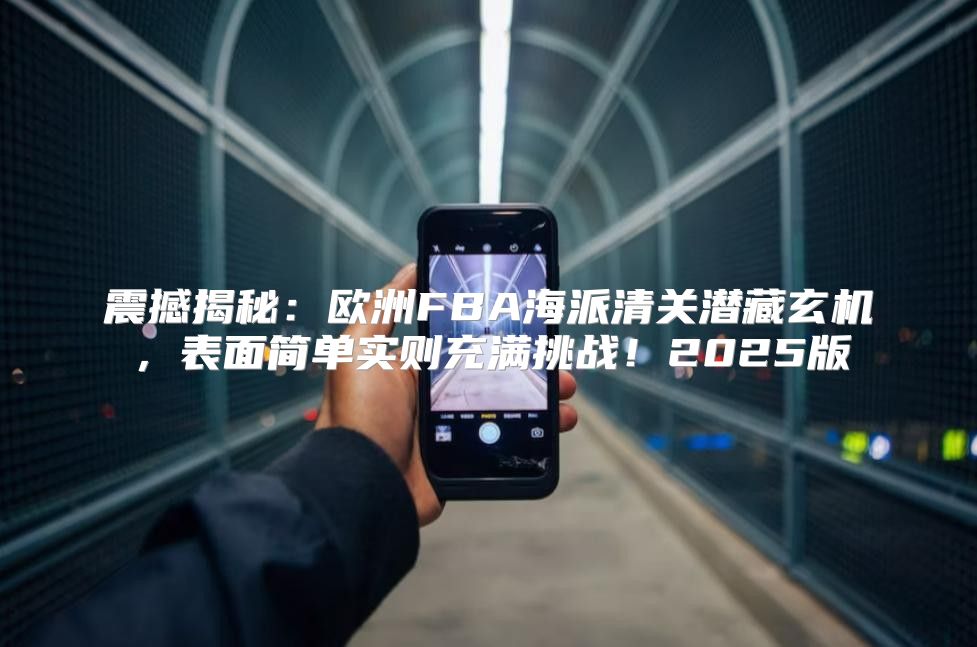 震撼揭秘：欧洲FBA海派清关潜藏玄机，表面简单实则充满挑战！2025版