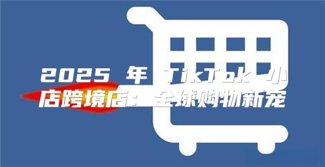 2025 年 TikTok 小店跨境店：全球购物新宠