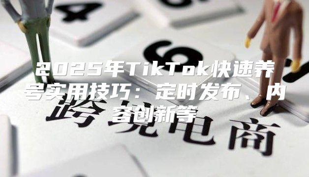2025年TikTok快速养号实用技巧：定时发布、内容创新等