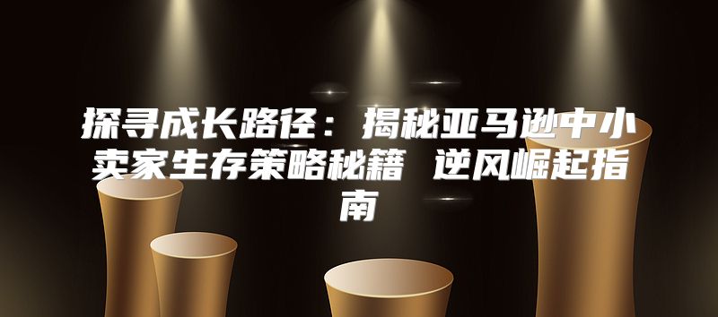 探寻成长路径：揭秘亚马逊中小卖家生存策略秘籍 逆风崛起指南