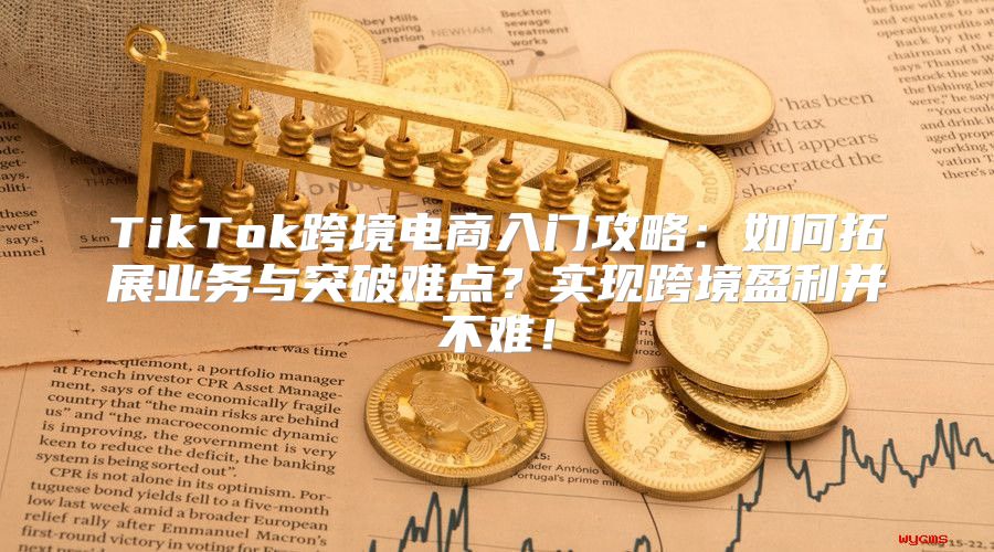 TikTok跨境电商入门攻略：如何拓展业务与突破难点？实现跨境盈利并不难！
