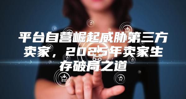平台自营崛起威胁第三方卖家，2025年卖家生存破局之道