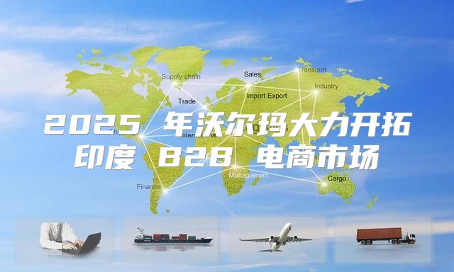 2025 年沃尔玛大力开拓印度 B2B 电商市场