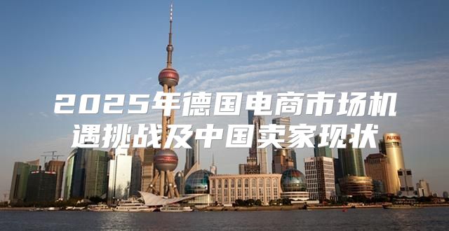 2025年德国电商市场机遇挑战及中国卖家现状