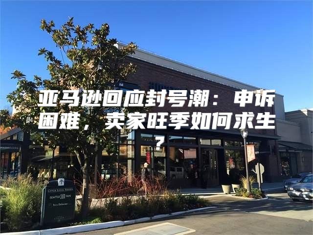 亚马逊回应封号潮：申诉困难，卖家旺季如何求生？