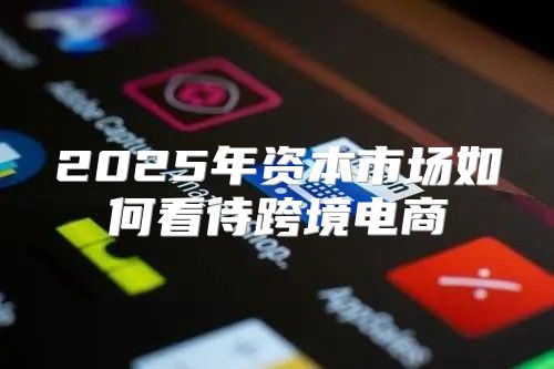 2025年资本市场如何看待跨境电商