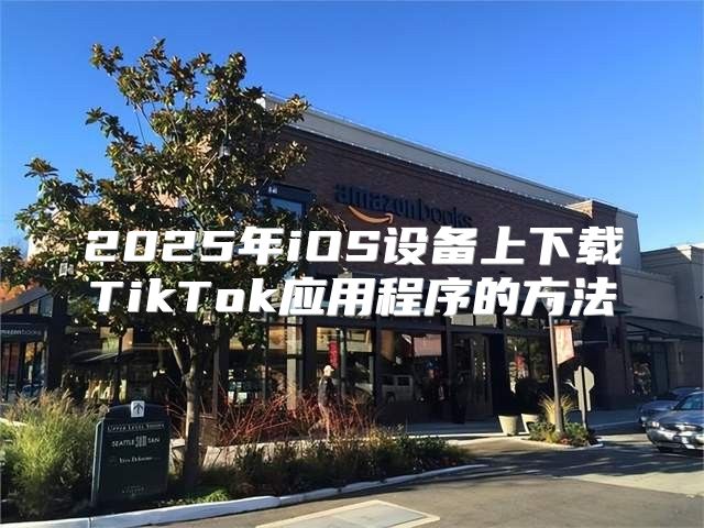 2025年iOS设备上下载TikTok应用程序的方法
