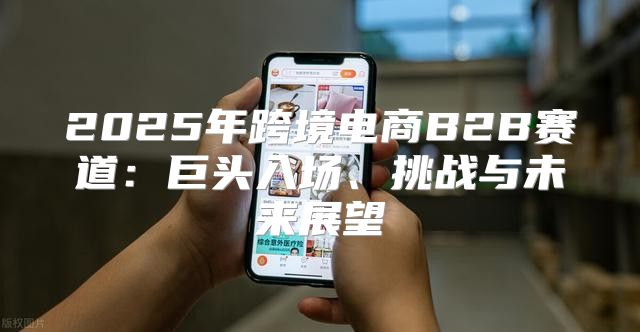 2025年跨境电商B2B赛道：巨头入场、挑战与未来展望