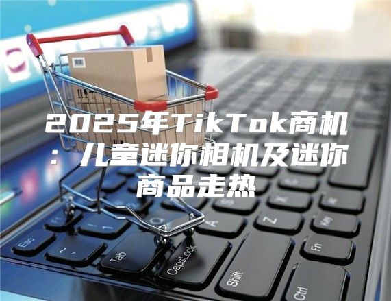2025年TikTok商机：儿童迷你相机及迷你商品走热