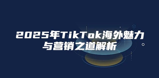 2025年TikTok海外魅力与营销之道解析