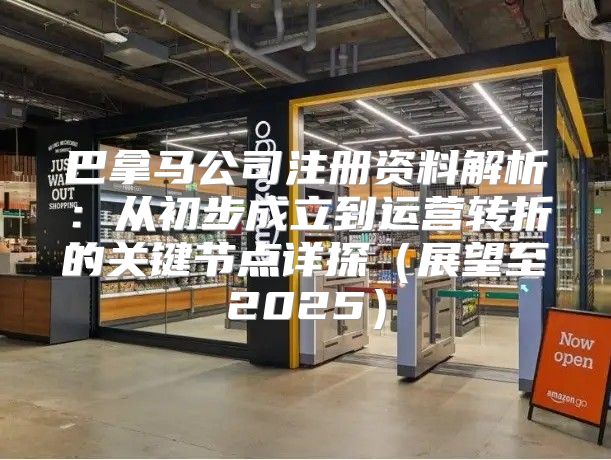 巴拿马公司注册资料解析：从初步成立到运营转折的关键节点详探展望至2025