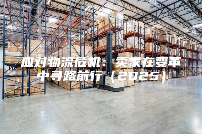 应对物流危机：卖家在变革中寻路前行2025