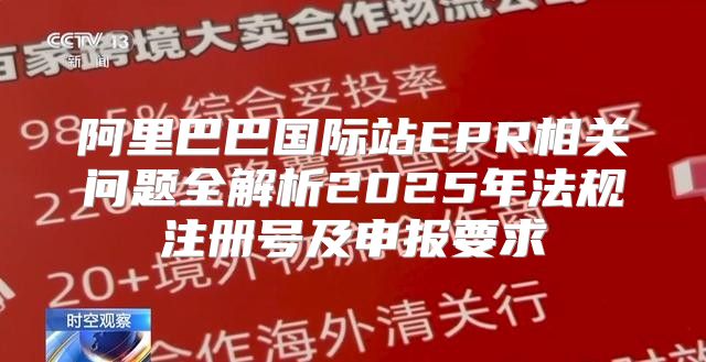 阿里巴巴国际站EPR相关问题全解析2025年法规注册号及申报要求