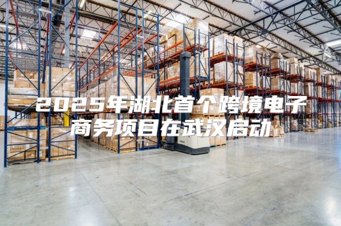 2025年湖北首个跨境电子商务项目在武汉启动
