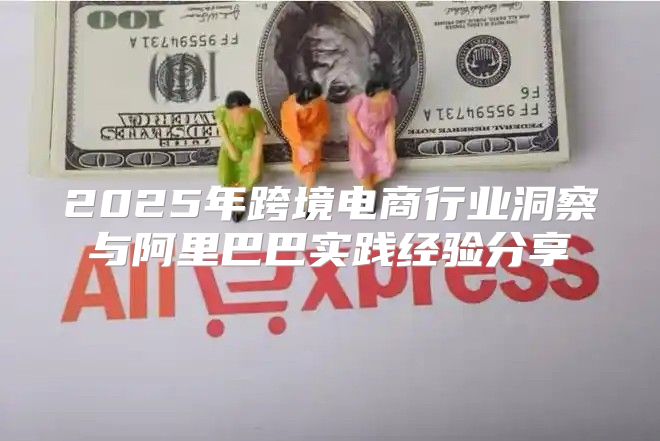 2025年跨境电商行业洞察与阿里巴巴实践经验分享