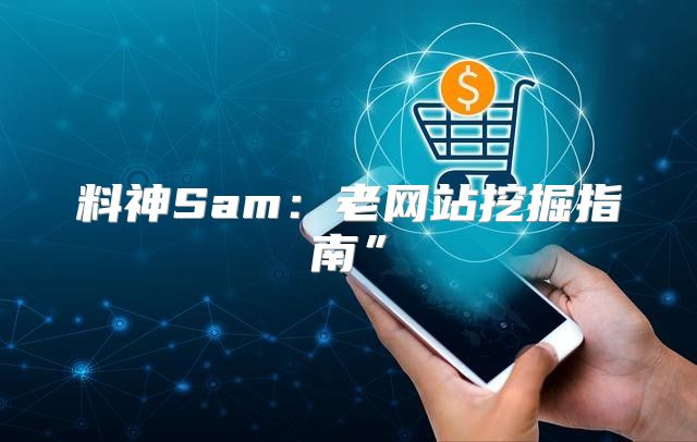 料神Sam：老网站挖掘指南”