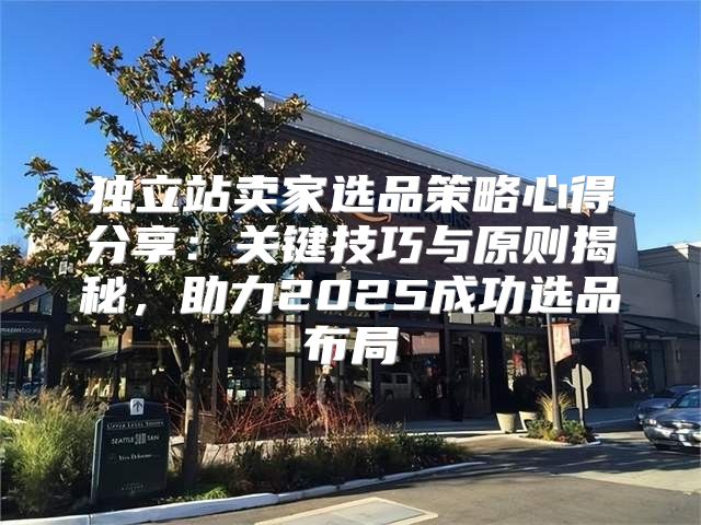 独立站卖家选品策略心得分享：关键技巧与原则揭秘，助力2025成功选品布局