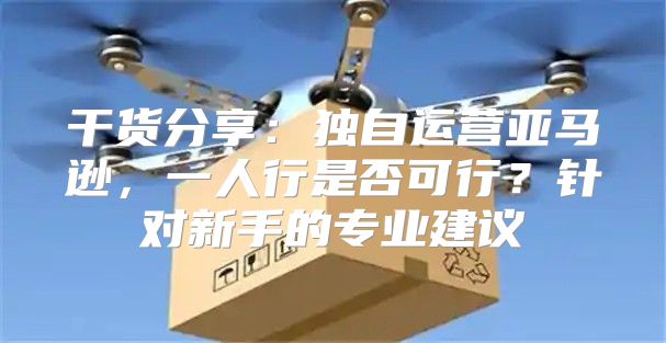 干货分享：独自运营亚马逊，一人行是否可行？针对新手的专业建议