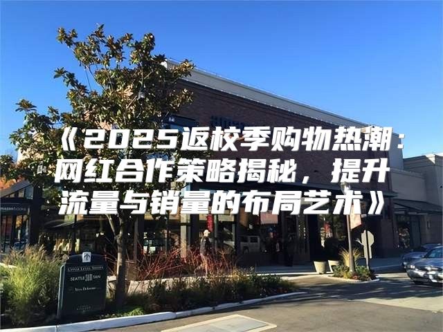2025返校季购物热潮：网红合作策略揭秘，提升流量与销量的布局艺术