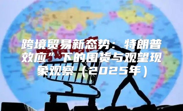 跨境贸易新态势：特朗普效应”下的囤货与观望现象观察2025年