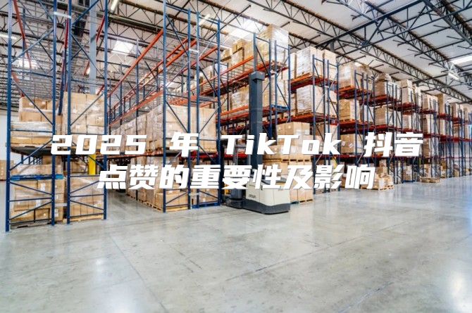 2025 年 TikTok 抖音点赞的重要性及影响