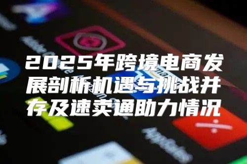 2025年跨境电商发展剖析机遇与挑战并存及速卖通助力情况