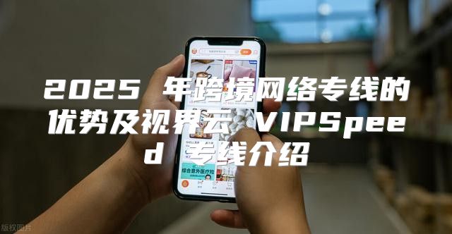 2025 年跨境网络专线的优势及视界云 VIPSpeed 专线介绍