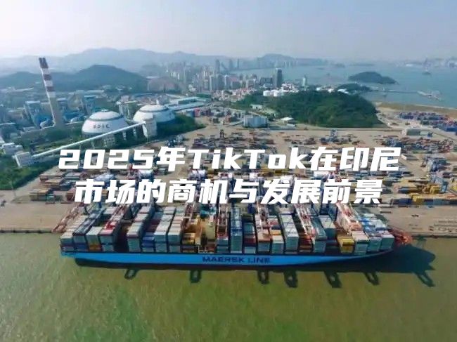 2025年TikTok在印尼市场的商机与发展前景