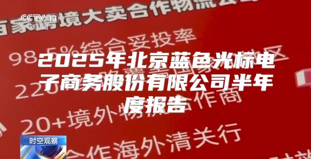 2025年北京蓝色光标电子商务股份有限公司半年度报告