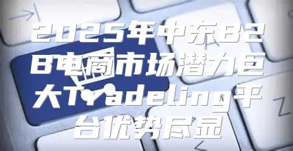 2025年中东B2B电商市场潜力巨大Tradeling平台优势尽显