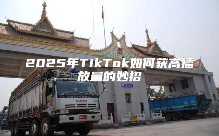 2025年TikTok如何获高播放量的妙招