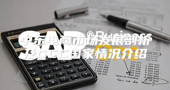 中东电商市场发展剖析及GCC国家情况介绍