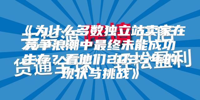 为什么多数独立站卖家在竞争浪潮中最终未能成功生存？看他们2025年的现状与挑战