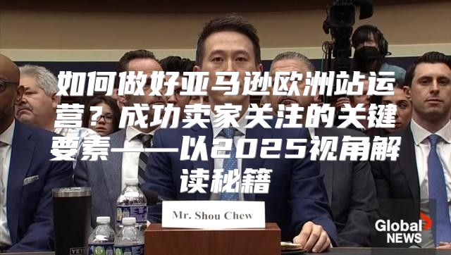 如何做好亚马逊欧洲站运营？成功卖家关注的关键要素——以2025视角解读秘籍