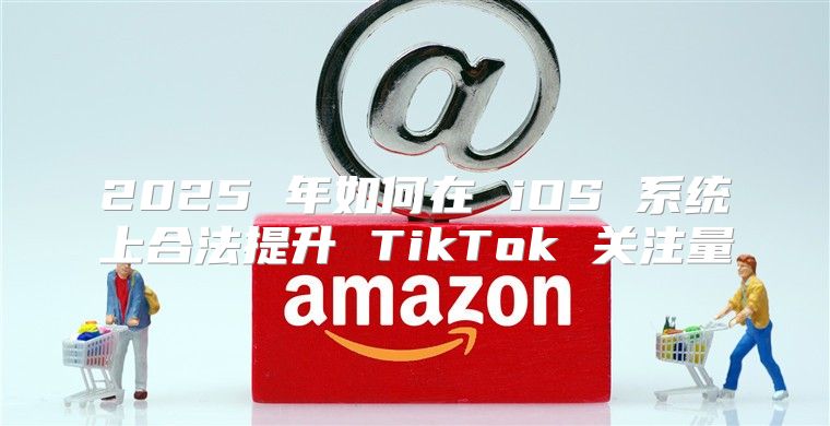 2025 年如何在 iOS 系统上合法提升 TikTok 关注量