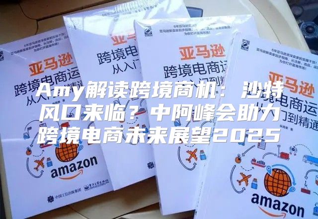 Amy解读跨境商机：沙特风口来临？中阿峰会助力跨境电商未来展望2025